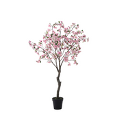 Cerisier en fleurs en pot 210cm